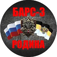 БАРС-3 «Родина»