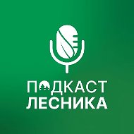 Подкаст лесника