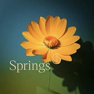 Клубный дом Springs
