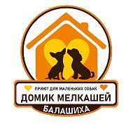Домик Мелкашей - приют для маленьких собак