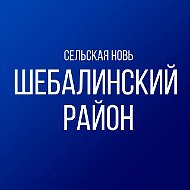 Сельская новь - Шебалинский район