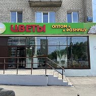 Клумба магазин Цветы
