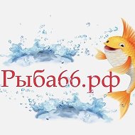 Рыба Екатеринбург Рыба66