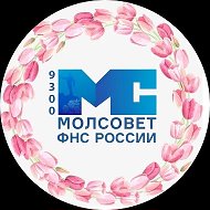 Молодежный совет УФНС России по Донецкой Народной Республике