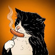 шерстяные проказники • коты