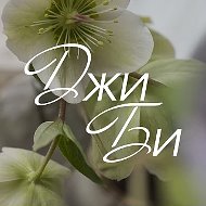 ДжиБи | Цветы и Шары Нижнекамск | Доставка цветов и шаров в Нижнекамске