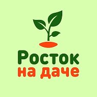 РОСТОК НА ДАЧЕ