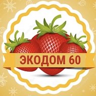 Клубника Малина САЖЕНЦЫ «ЭКОДОМ 60»