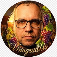 ВиноградУс 🍇 Виноград Александра Уставщикова