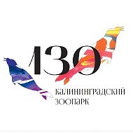 Калининградский зоопарк