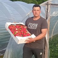 Клубника🍓 ТуТ Смоленск