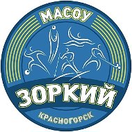 МАСОУ "Зоркий"