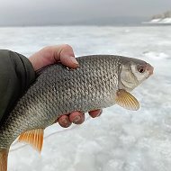 Душевная рыбалка