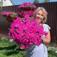 Петунии Сама Могу