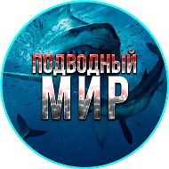 Подводный мир