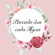 Рассада для сада Тула