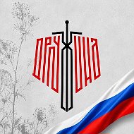 Народная Дружина
