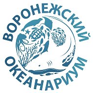 Воронежский океанариум Сити-Парк "Град"