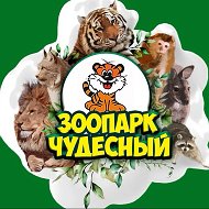 Зоопарк «Чудесный» / Уссурийск-Приморский край .