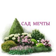 Сад Мечты- каталог саженцев