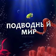 Подводный мир l Океан l Море