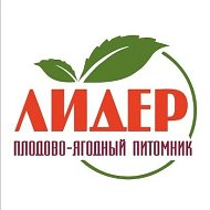 Питомник Лидер. Саженцы и свежая ягода