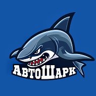 АВТОШАРК | МАГАЗИНЫ