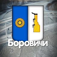 Боровичи
