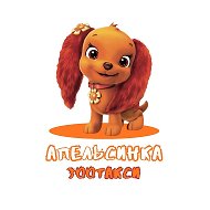 Зоотакси Апельсинка/ Перевозка животных РФ/СНГ