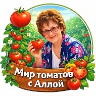 Мир томатов с Аллой