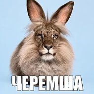 ЧЕРЕМША