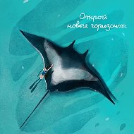 МОМЕНТОВ МОРЕ | ТУРАГЕНТСТВО |