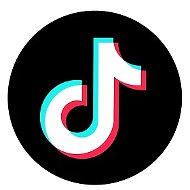 СКАЧАТЬ ВИДЕО TIKTOK YOUTUBE REELS