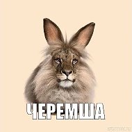 Черемша. ЧЕРЕМША МЕМ