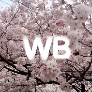 Wildberries 24/7