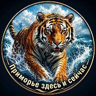 Приморье здесь и сейчас